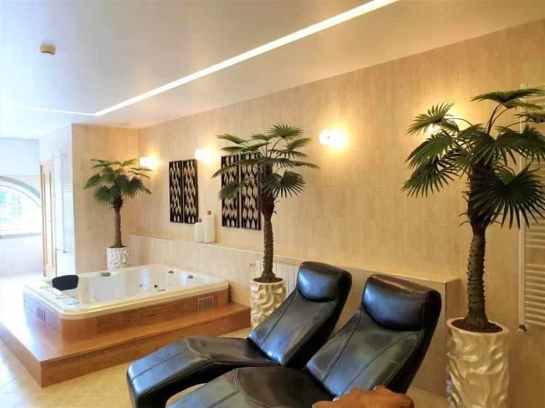 Spa Quinta da Palmeira