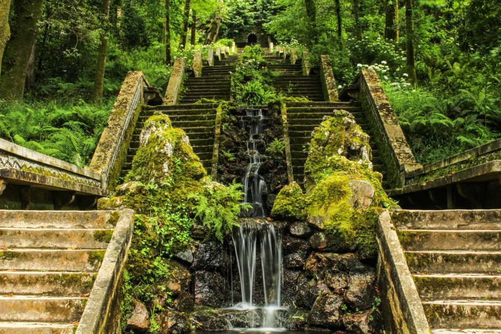 Visite o Palácio e a Floresta Nacional da Serra do Buçaco