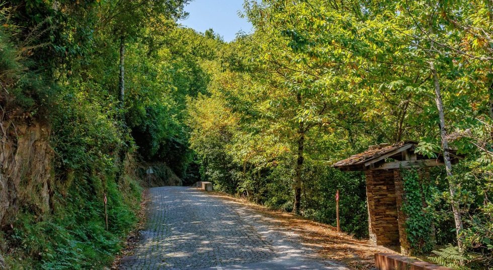 Caminhadas na Mata da Margaraça, uma reserva natural de 350 hectares